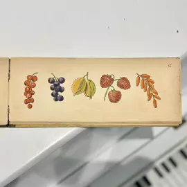 Книга «Посмотри-ка! Мир малютки» Санкт-Петербург, издательство Девриена, 1905 год