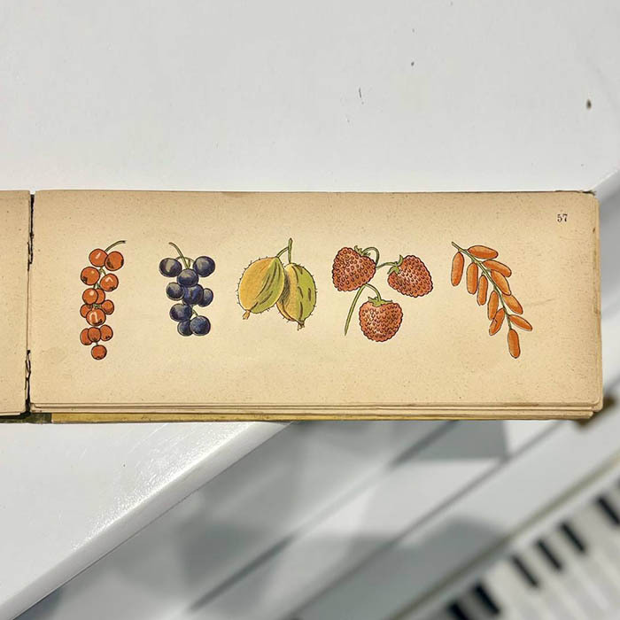 Книга «Посмотри-ка! Мир малютки» Санкт-Петербург, издательство Девриена, 1905 год