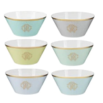 Bowls for fruit salad "Lizzard Sunrise" for 6 people