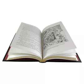 Книга в кожаном переплете "Шкатулка домового" Цакариас Топелиус