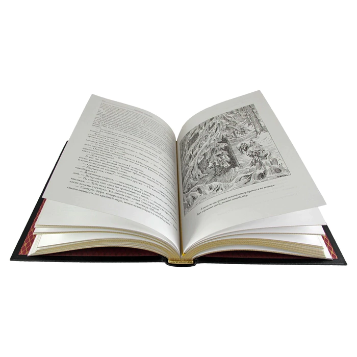Книга в кожаном переплете "Шкатулка домового" Цакариас Топелиус
