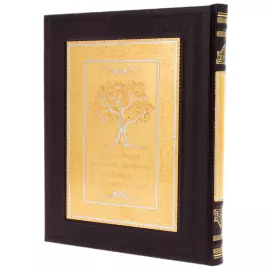 Gift book in the "Pearl of Wisdom" package in a box, Zlatoust