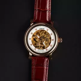 Наручные механические часы с автоподзаводом Lincor UNI бело-золотистые с коричневым ремешком