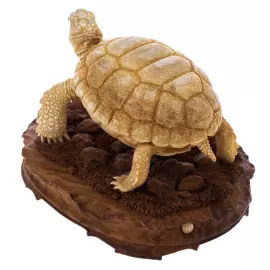 Скульптура из рога лося и дерева "Черепаха" на подставке