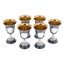 Vodka set made of silver "Imperial Hexagon" for 6 people