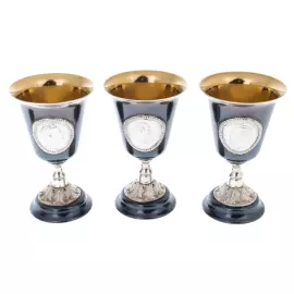 Vodka set made of silver "Imperial Hexagon" for 6 people