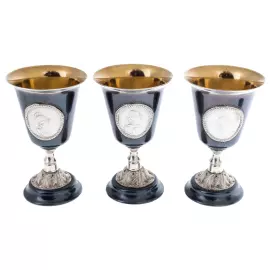 Vodka set made of silver "Imperial Hexagon" for 6 people