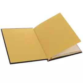 The leather-bound book "The Great Russian Doctors" by Zlatoust