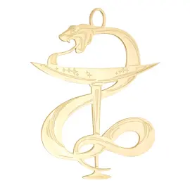 Набор елочных игрушек "Медицина" 5 шт., Златоуст Набор елочных игрушек "Медицина" 5 шт., Златоуст