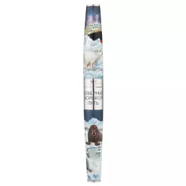 Ручка чернильная "Арктика"