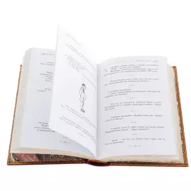 The leather-bound book "Faina Ranevskaya. Aphorisms"