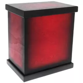 Бюст из бука "Конь"