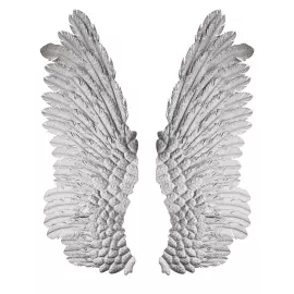 Настенное панно Tomas Stern Крылья