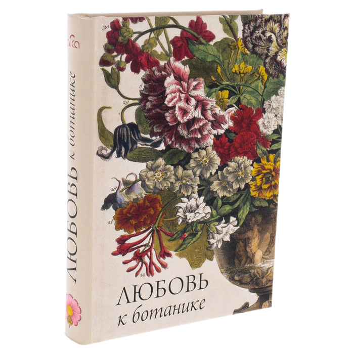 Gift set with a book, a daisy brooch and a silk handkerchief