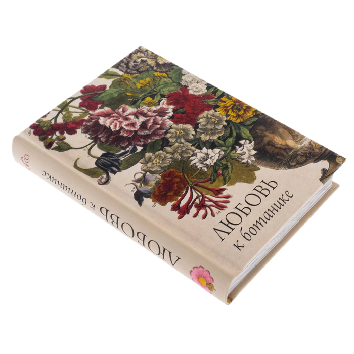 Gift set with a book, a daisy brooch and a silk handkerchief