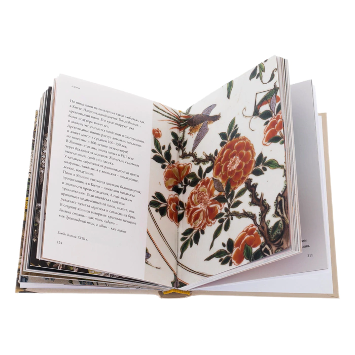 Gift set with a book, a daisy brooch and a silk handkerchief