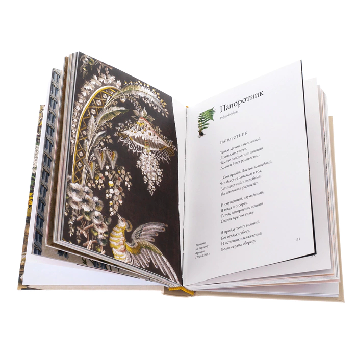 Gift set with a book, a daisy brooch and a silk handkerchief