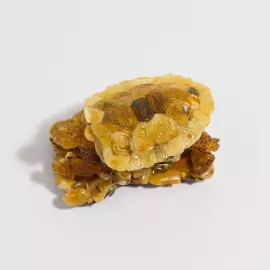 Сувенир шкатулка из янтаря "Черепаха"