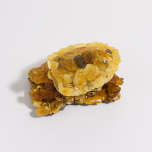 Souvenir box made of amber "Turtle"