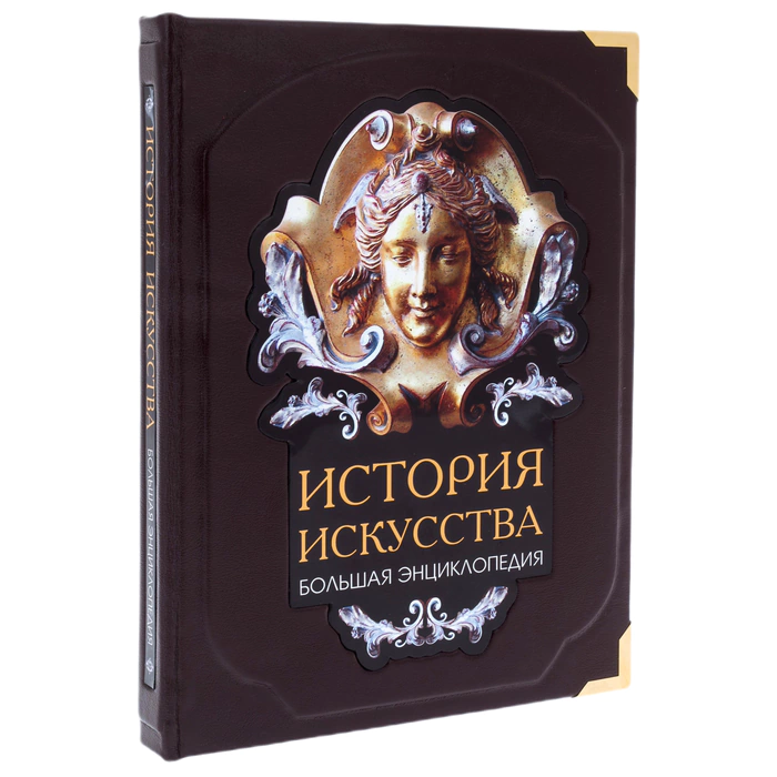 Книга в кожаном переплете "История искусства."