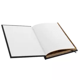 Книга в кожаном переплете "Власть над людьми и люди у власти"