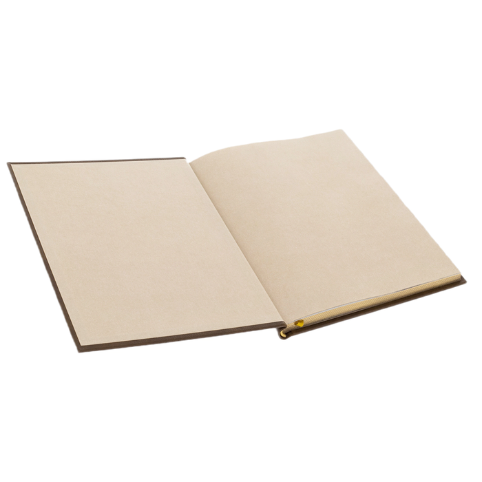 Leather-bound book "The History of the Russian Police"