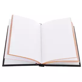 Ежедневник в кожаном переплете "Санкт-Петербург"