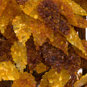 Amber souvenir "Money tree" (36 branches)