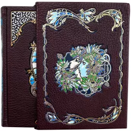 Библиотека подарочных книг "Великие шедевры мировой литературы" 10 томов