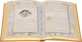 Библиотека подарочных книг "Майн Рид" 11 томов