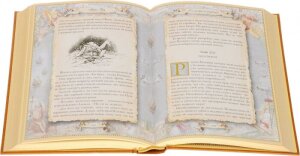The library of gift books "Main Reed" 11 volumes
