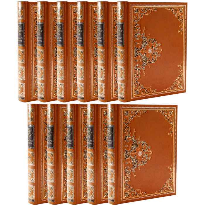 The library of gift books "Main Reed" 11 volumes