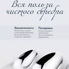 Серебряный столовый набор"Меридиан": вилка, ложка, нож, чайная ложка, на 12 персон, 48 предметов