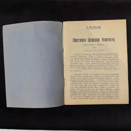 Книга "Общественная организация человечества". Циолковский К.Э., Калуга, Издательство автора, 1928 год