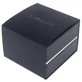 Наручные механические часы с автоподзаводом Lincor UNI зеленые с серебристым ремешком