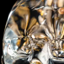 Sculpture "Lost in Time" small skull