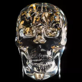 Sculpture "Lost in Time" small skull