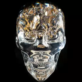 Sculpture "Lost in Time" small skull