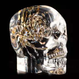Sculpture "Lost in Time" large skull