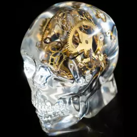 Sculpture "Lost in Time" large skull