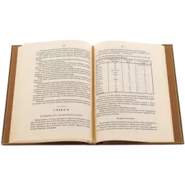 Gift set "Building art" with 3 books and chess