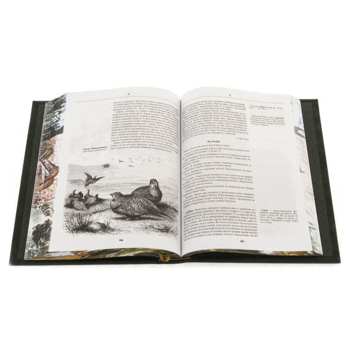 Набор подарочный "Русская охота" со статуэткой и книгой