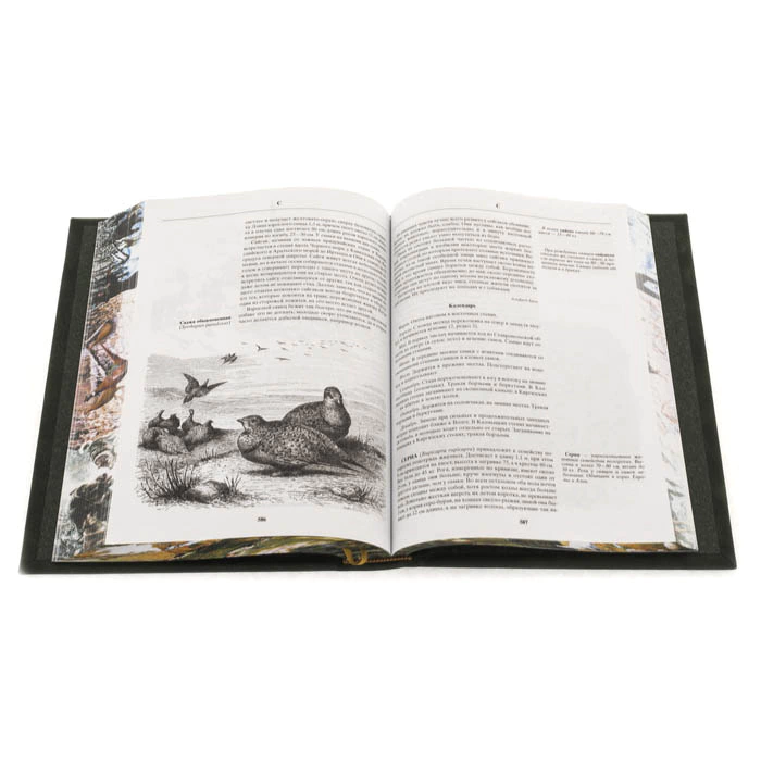 Gift set "Russian Hunt" with a statuette and a book