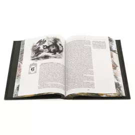 Набор подарочный "Русская охота" со статуэткой и книгой