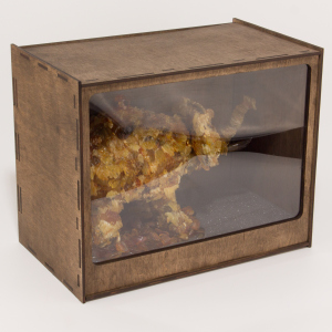 Amber box "Mammoth"