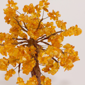 Amber tree "Dancing Forest"