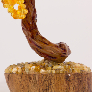 Amber tree "Dancing Forest"