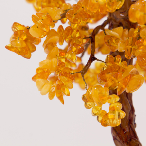 Amber tree "Dancing Forest"