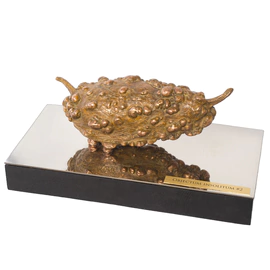 Author's bronze sculpture "Unidentified object #2"