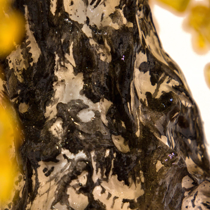 Souvenir of amber "Russian birch"